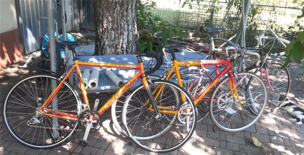 cursiera specialized cu echipament shimano 105 cadru 54