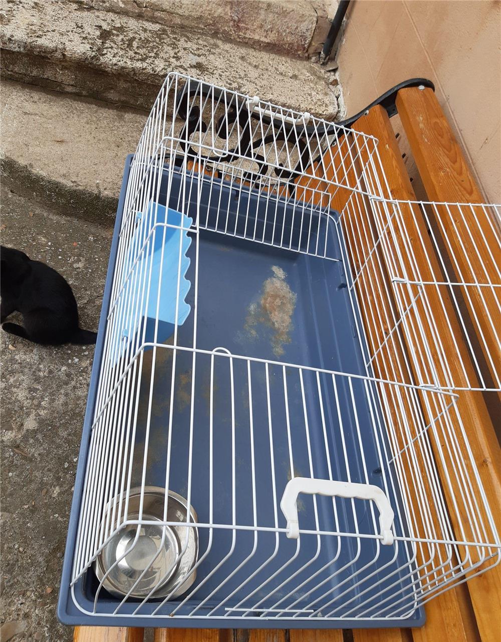 Cușca animale