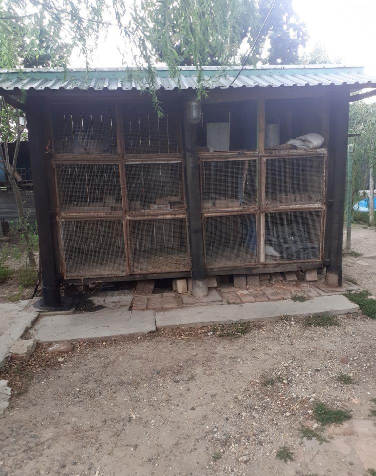 Cuști pentru iepuri