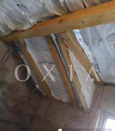 CX238 1/2 duplex "LA ROSU" in interior, aproape de asfalt!