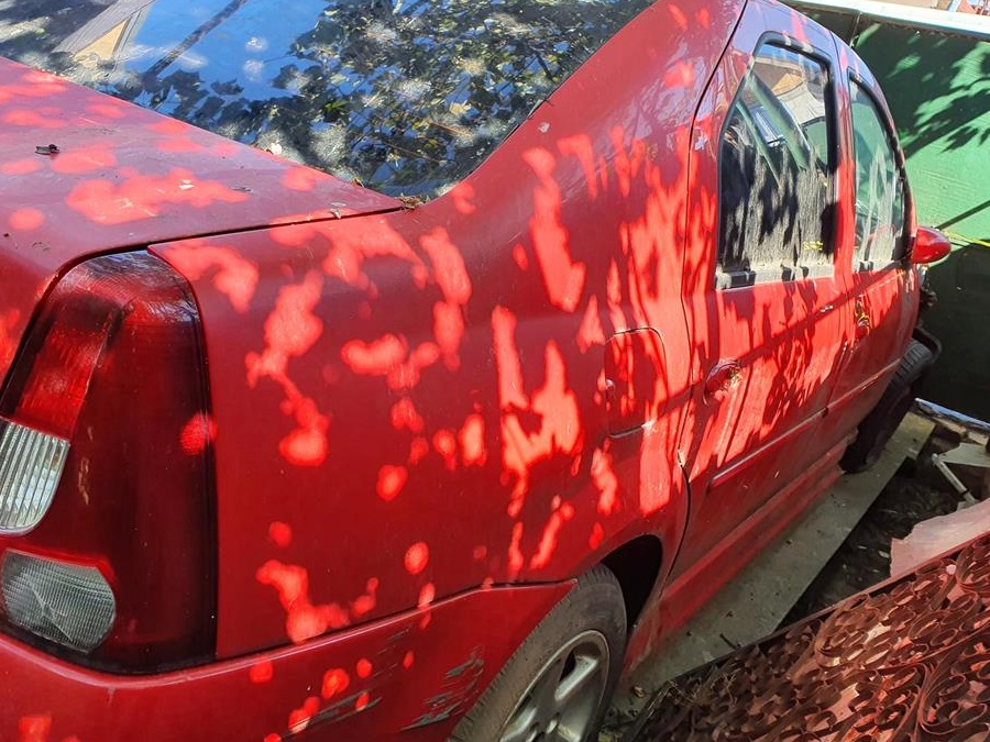 Daci Logan Dci Euro4