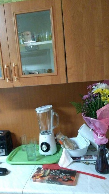 de inchiriat apartament o camera zona Aradului