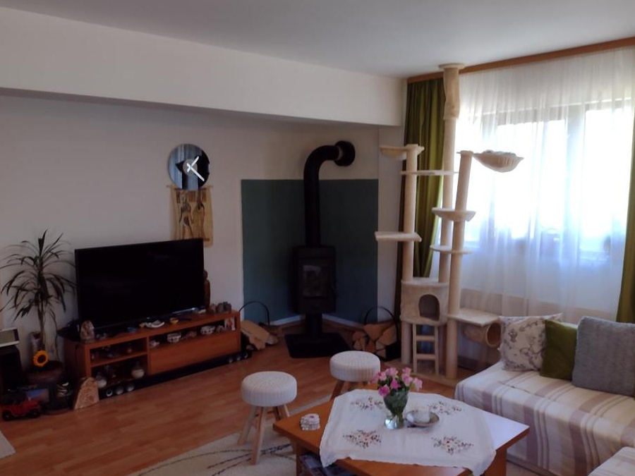 De vânzare casă P+1 cu teren în Fălticeni