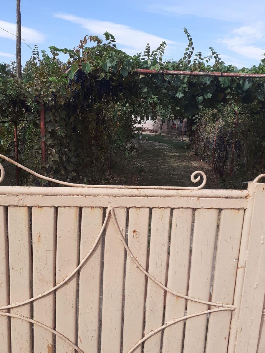 De vanzare casa si teren