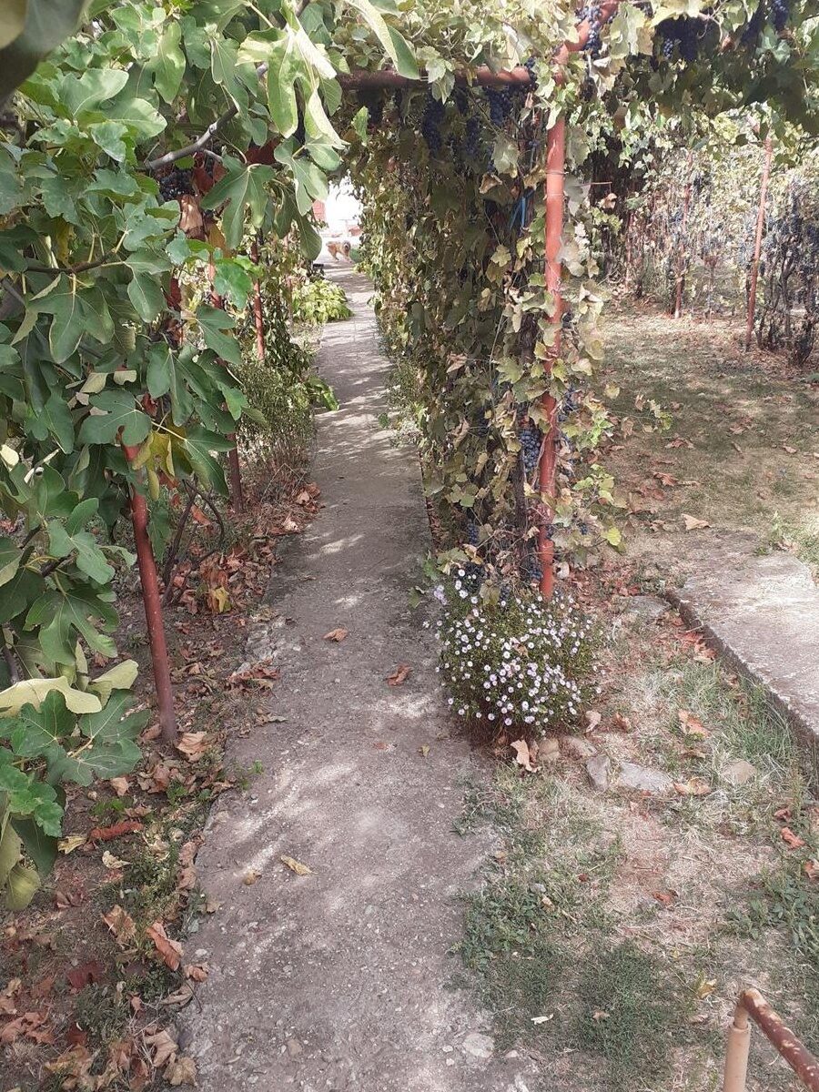 De vanzare casa si teren
