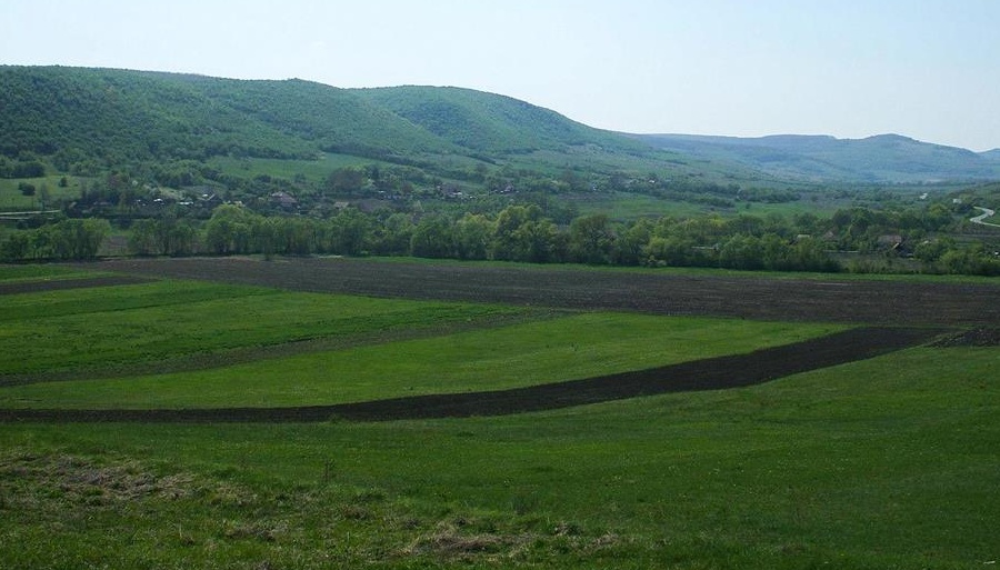 De vanzare doua terenuri extravilane in Ciumafaia, comuna Borsa - Cluj.