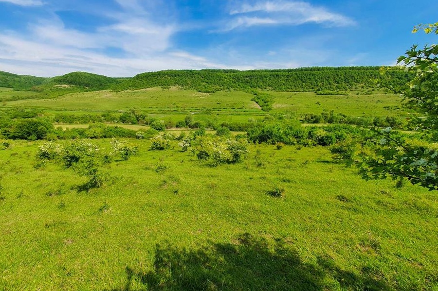De vanzare doua terenuri extravilane in Ciumafaia, comuna Borsa - Cluj.