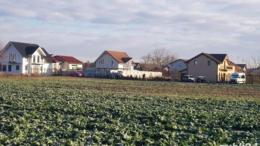 de  vanzare parcela teren, in Sacalaz, langa vatra satului cu utilitati apa, gaz, curent 21000 euro