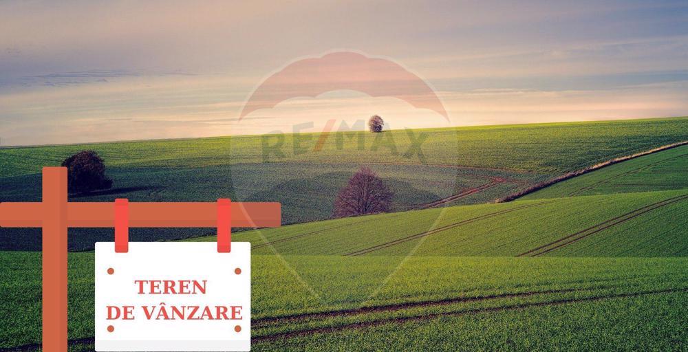 DE VANZARE Teren agricol Radesti,Jud. Galati, 5 hectare