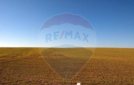 DE VANZARE Teren agricol Radesti,Jud. Galati, 5 hectare