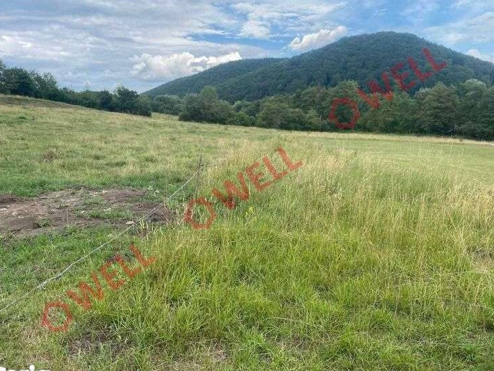De vânzare un teren intravilan de 2500 mp situat în Câmpu Cetății