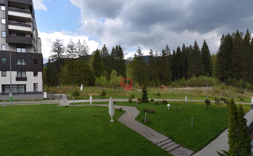 Deosebit, scara interioara, semineu, terasa, parcare, Silver Mountain