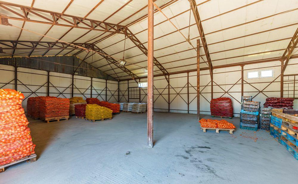Depozit frigo de închiriat în Săcălaz