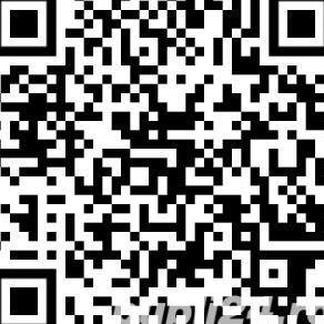 Detectiv Particular