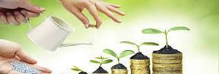 Devino independent financiar cu Destine Broker