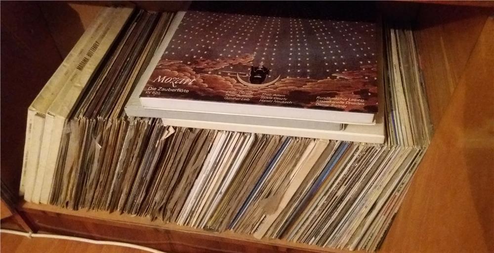 Discuri de vinyl