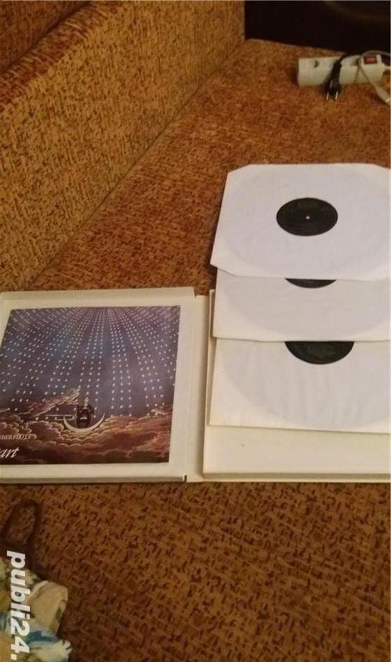 Discuri de vinyl