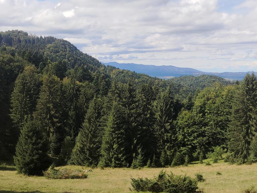 Doamna sau domnișoară îți dorești o vacanță de vis la munte ? Sună -ma !