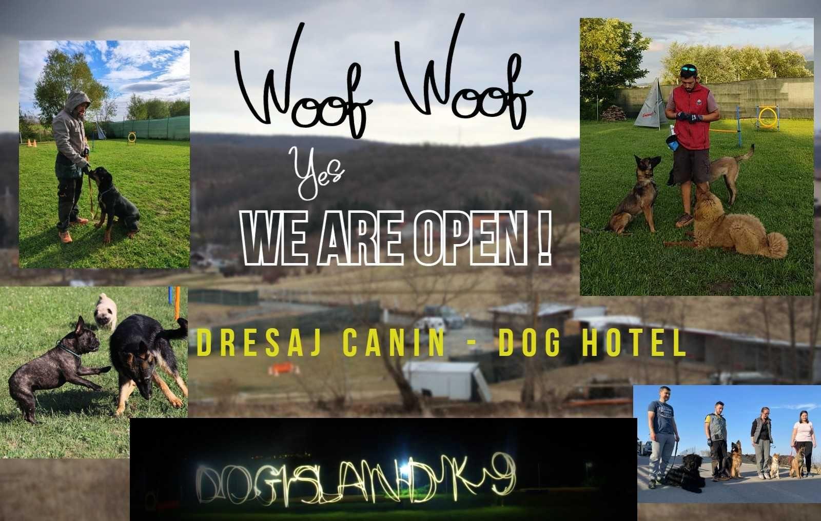 Dogisland K9 - Dresaj Canin - Pensiune canina