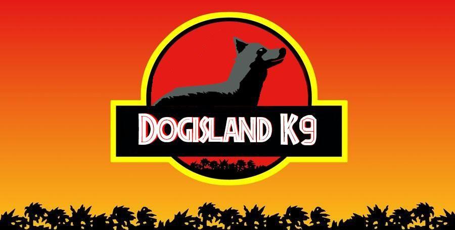 Dogisland K9 - Dresaj Canin - Pensiune canina