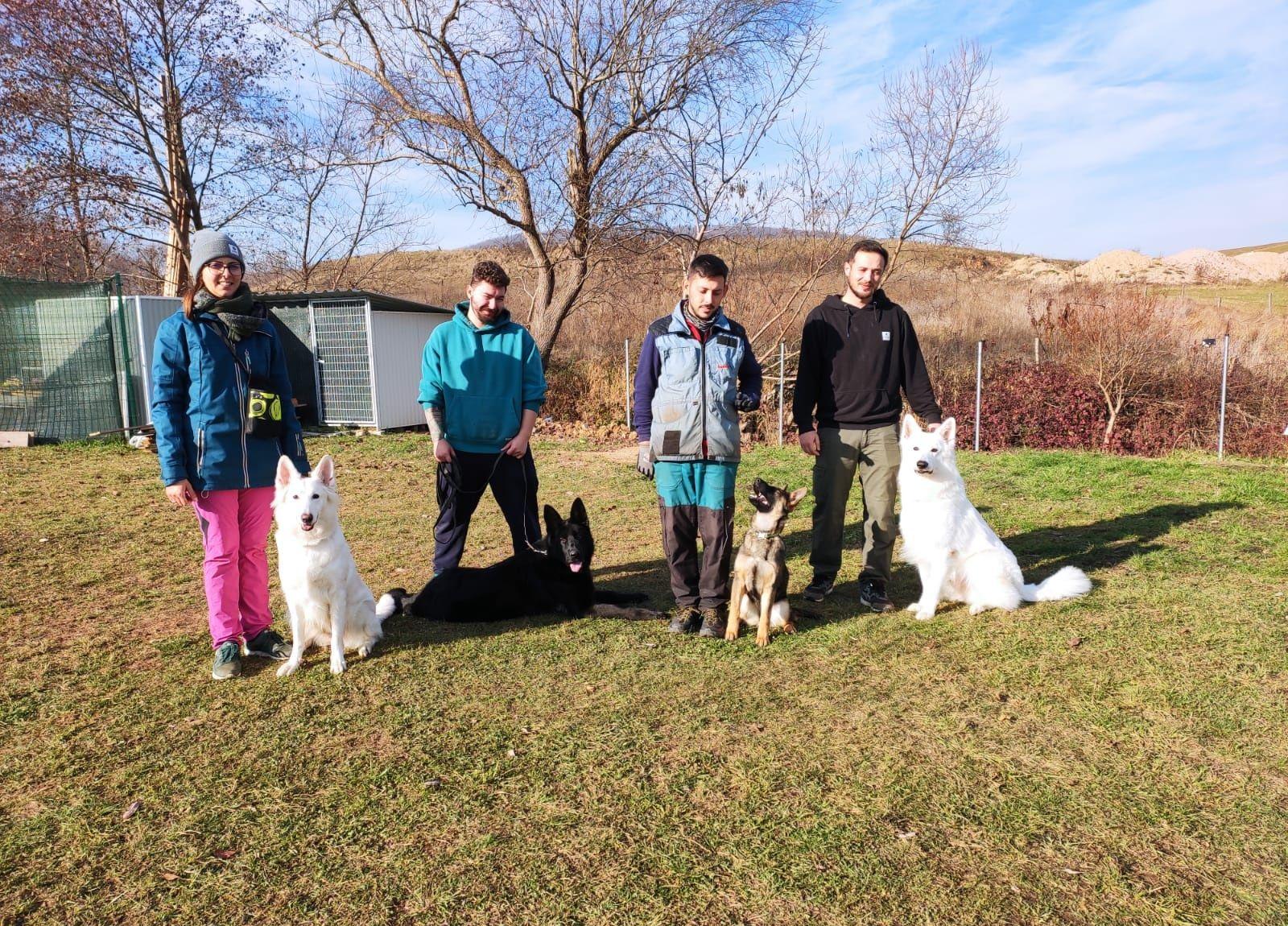 Dogisland K9 - Dresaj Canin - Pensiune canina