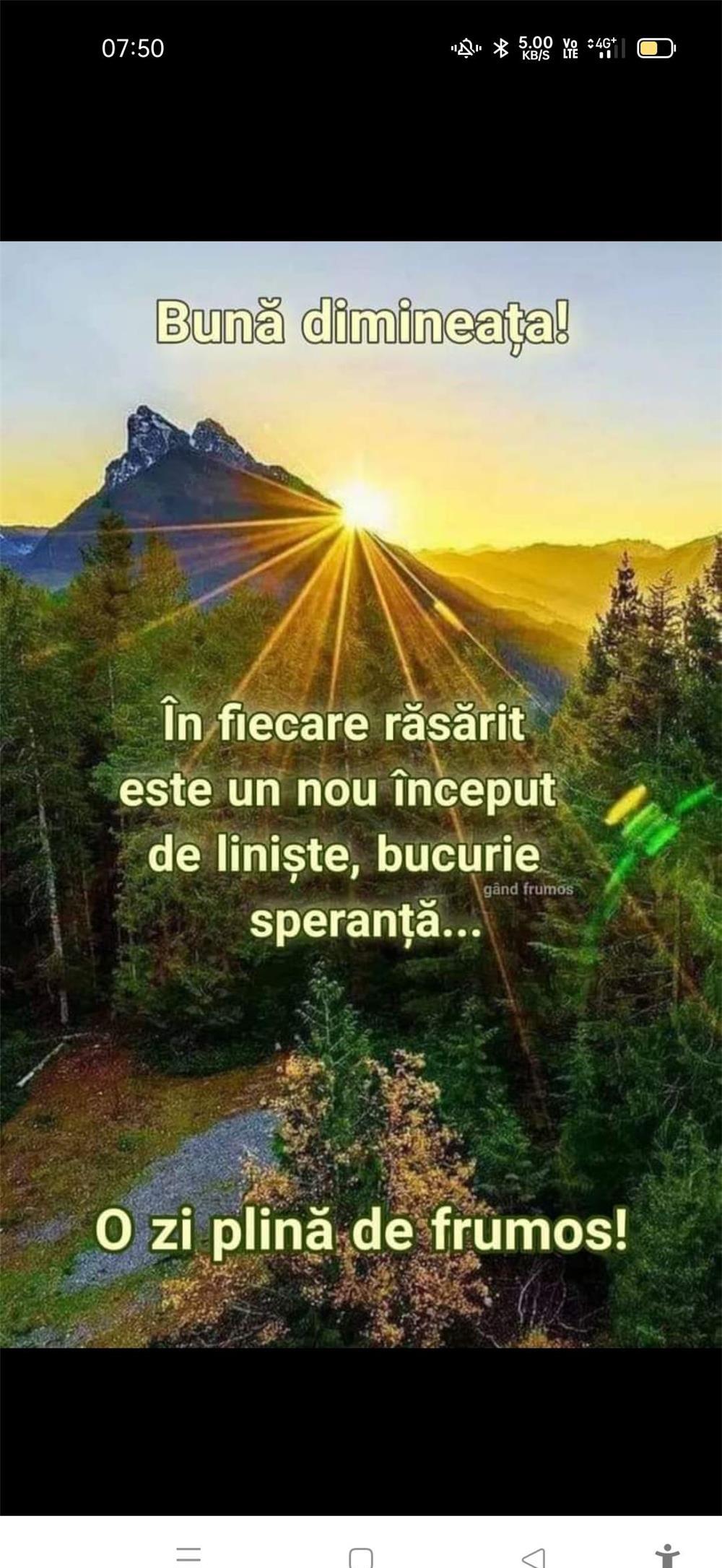 Domn discret și manierat