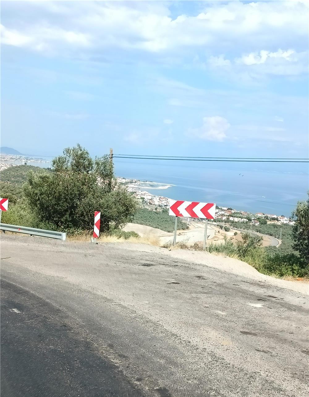 Domn discret și manierat