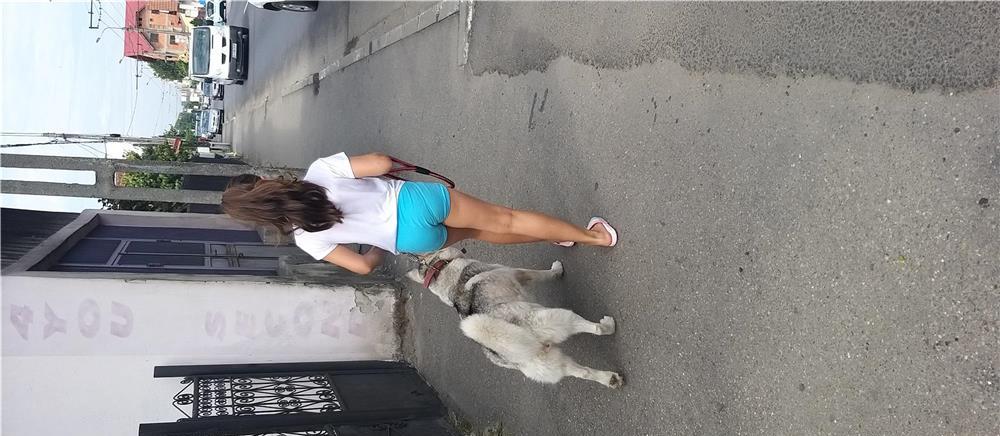Dresaj canin și educație canină
