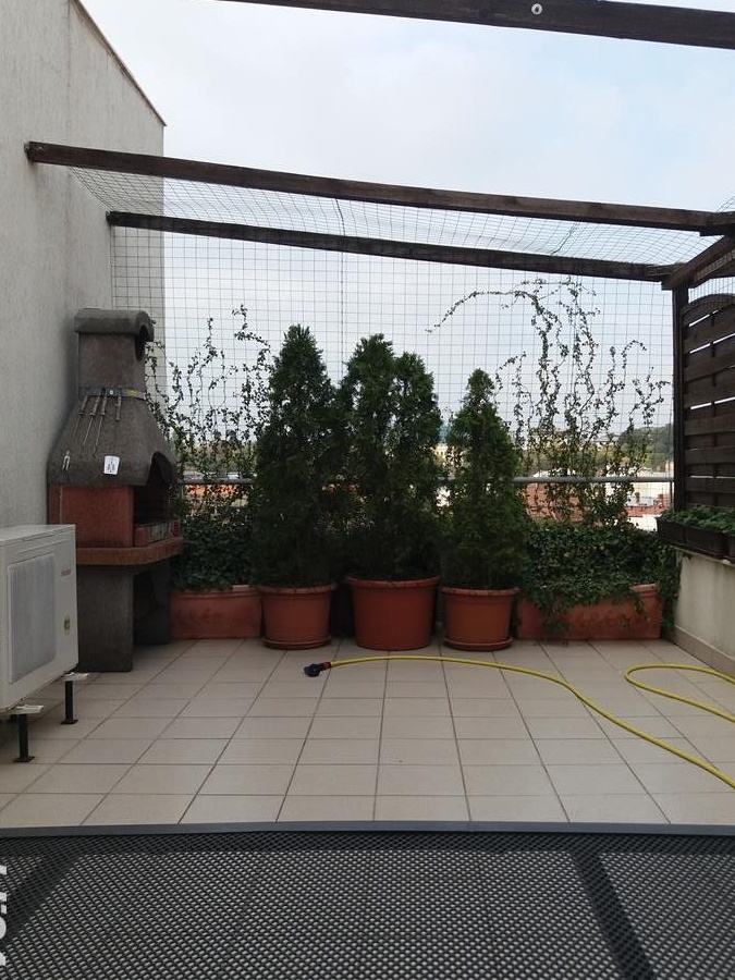 Duplex Parcul Carol - City Center Residence