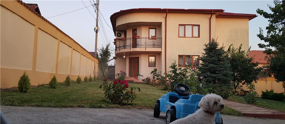 Echipa profesionista executam case la rosu sau la cheie!