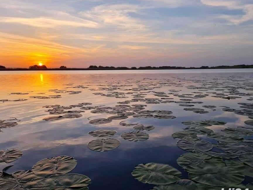 Excursii / Plimbari cu barca Delta Dunarii - Murighiol