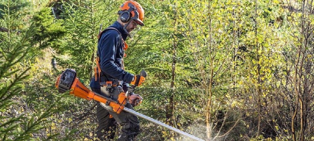 Execut lucrări de întreținere grădini și pajiști