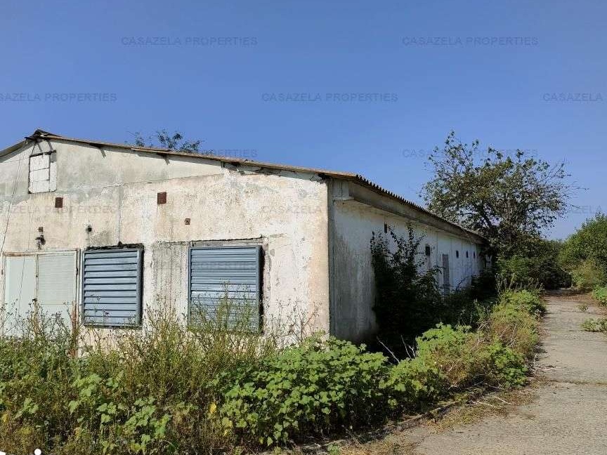 ferma agrozootehnica Loc. Amzacea 212.800 eur
