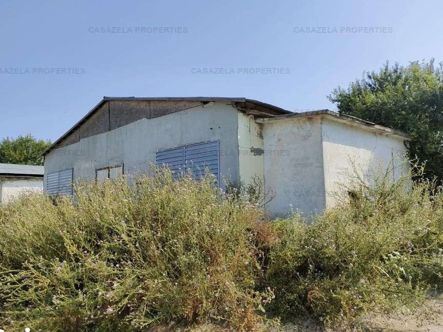 ferma agrozootehnica Loc. Amzacea 212.800 eur