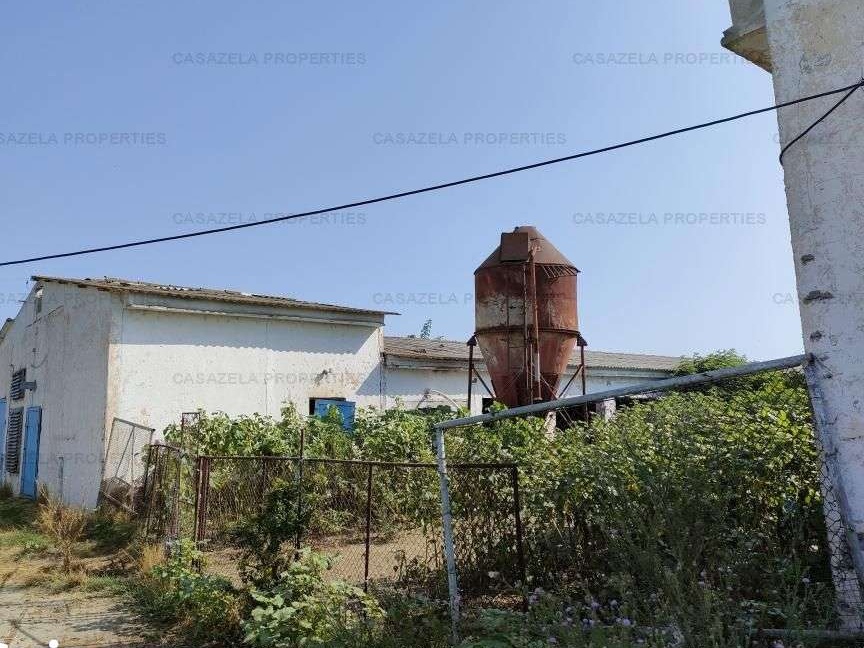 ferma agrozootehnica Loc. Amzacea 212.800 eur