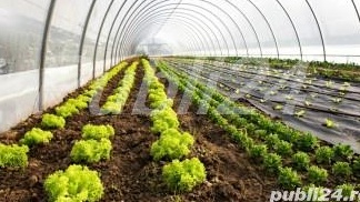 Ferma de legume bio , pachet complet .