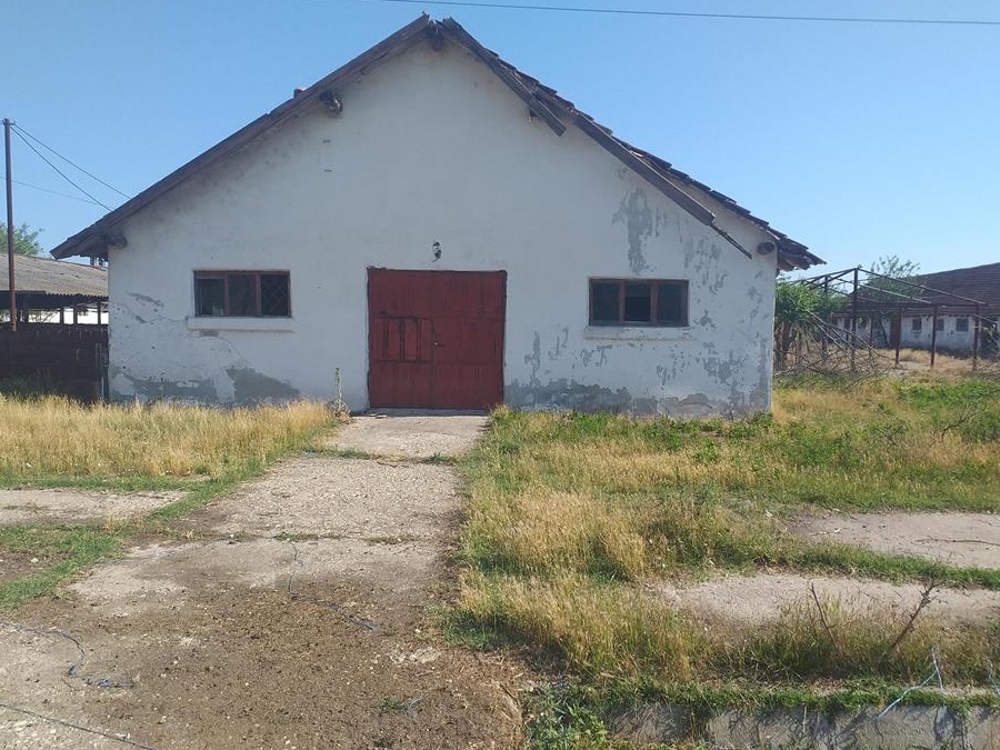 Ferma pentru cresterea vavilor de carne Bals Olt