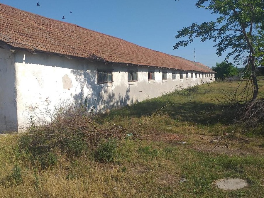 Ferma pentru cresterea vavilor de carne Bals Olt