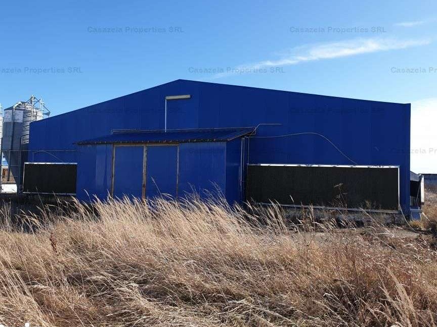 Ferma pui + sediu administrativ, Bucovat, Dolj