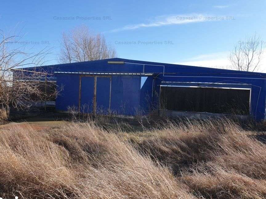 Ferma pui + sediu administrativ, Bucovat, Dolj
