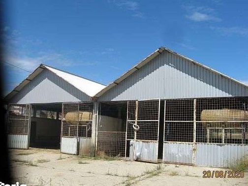 Ferma zootehnica Buciumeni, Dragoesti, Valcea