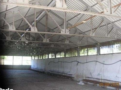 Ferma zootehnica Buciumeni, Dragoesti, Valcea