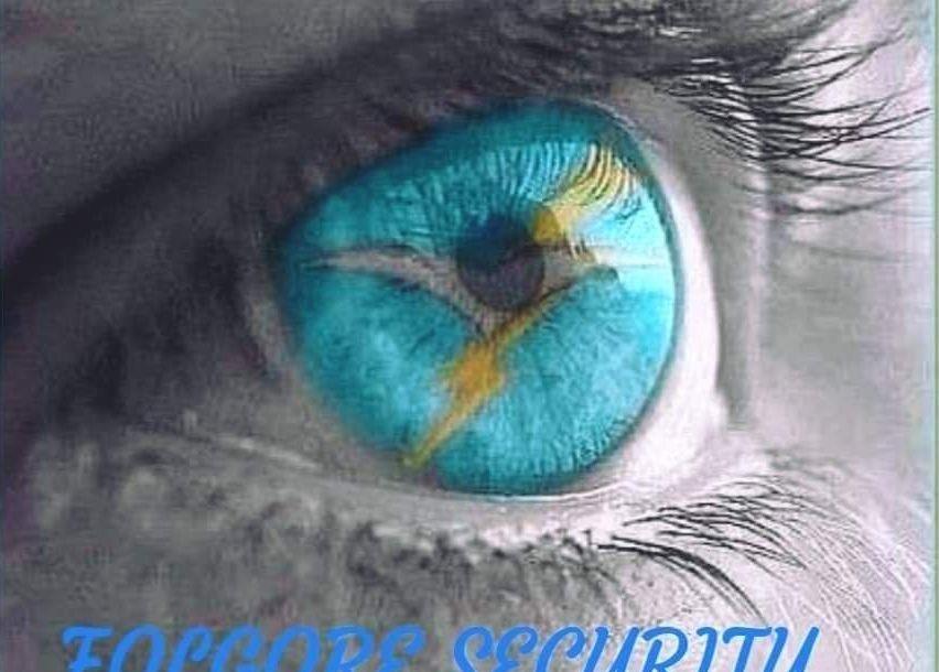 #FOLGORE SECURITY