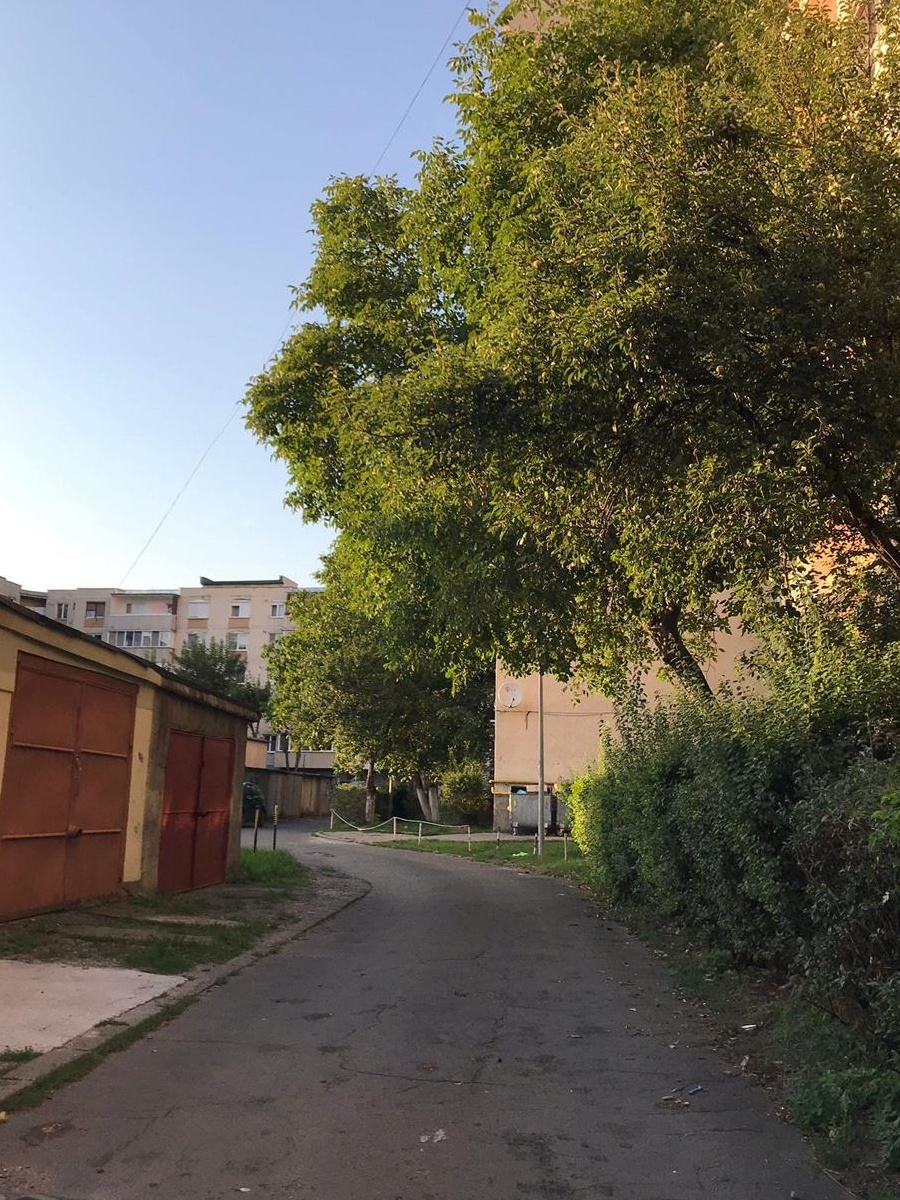 Garaj de vânzare - Zona Dacia