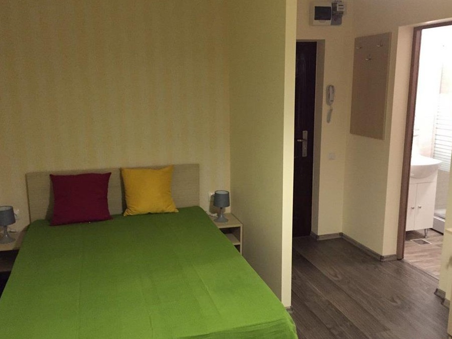 Garsoniera Regim Hotelier Parcul Tei