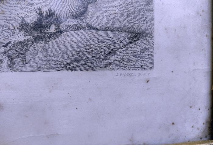 Gravura veche , inramata, de Marie Wunsch
