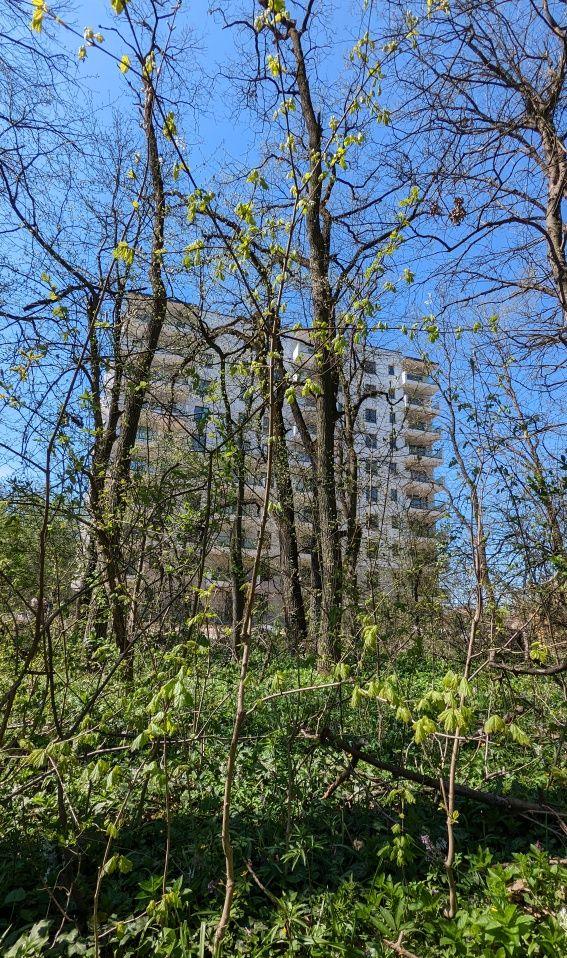 Greenfield Băneasa, Zoo, bloc Panoramic, privelişte direct spre pădure