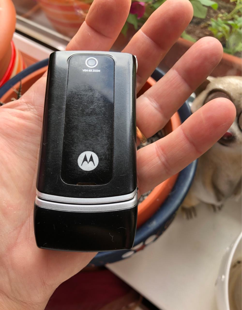 Gsm Motorola W 375