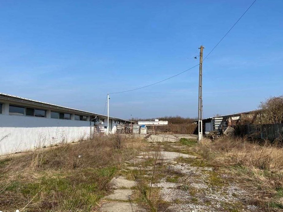 Hala, 2186 mp, situata la 30 km de Oradea, in localitatea Cefa