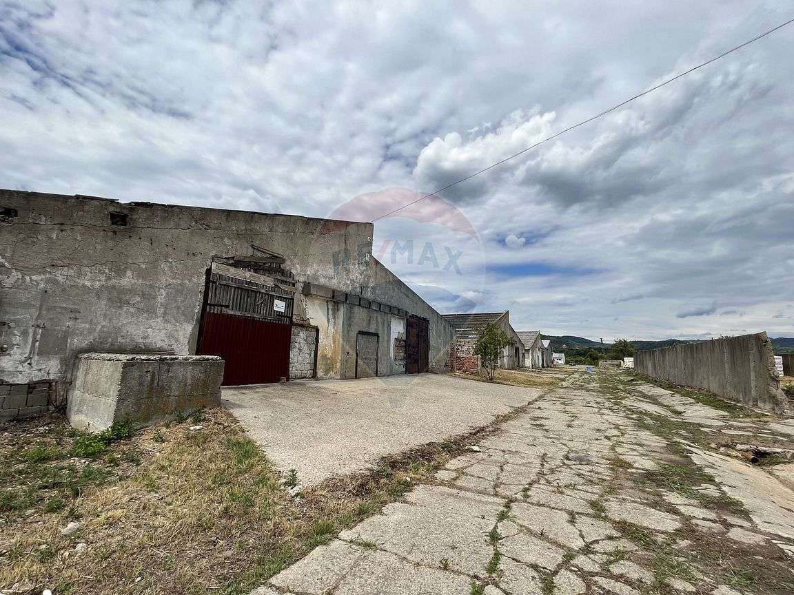 HALA DE VANZARE TAUTII MAGHERAUS 1733MP